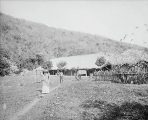 Hotel at Taninul, between 1880 and 1897. Creator: William H. Jackson