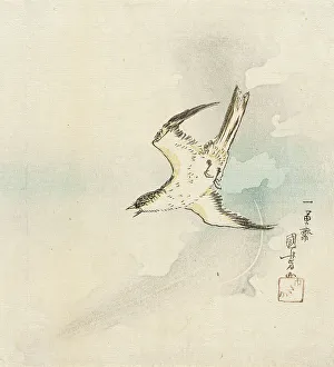 Joyful Prints: Hototogisu, Mid-19th century. Creator: Utagawa Kuniyoshi