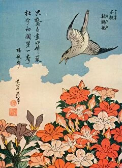 Hototogisu satsuki (Cuckoo and Azalea), c1828, (1936). Artist: Hokusai