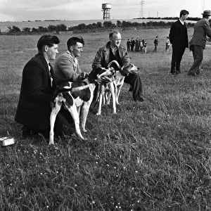 Hound Trailing, one of Cumbrias oldest and most popular sports, Keswick, 2nd July 1962