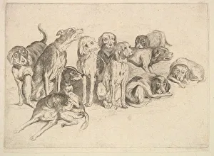 Wenceslaus Collection: Eleven Hounds, 1625-77. Creator: Wenceslaus Hollar