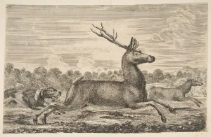 Stag Gallery: Hounds Chasing a Stag and a Doe, ca. 1654. Creator: Stefano della Bella