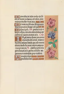 Hours of Queen Isabella the Catholic, Queen of Spain: Fol. 144r, c. 1500. Creator
