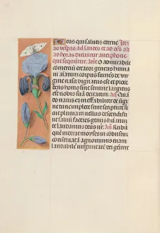 Hours of Queen Isabella the Catholic, Queen of Spain: Fol. 165v, c. 1500. Creator