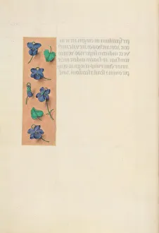 Hours of Queen Isabella the Catholic, Queen of Spain: Fol. 16v, Short Border…, c
