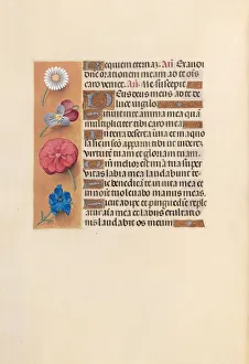 Hours of Queen Isabella the Catholic, Queen of Spain: Fol. 249v, c. 1500. Creator
