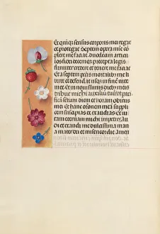 Hours of Queen Isabella the Catholic, Queen of Spain: Fol. 260v, Pieta, c. 1500. Creator