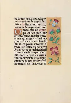 Hours of Queen Isabella the Catholic, Queen of Spain: Fol