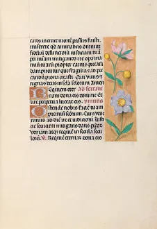 Hours of Queen Isabella the Catholic, Queen of Spain: Fol