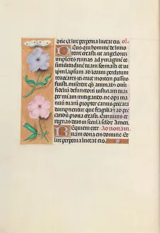 Hours of Queen Isabella the Catholic, Queen of Spain: Fol