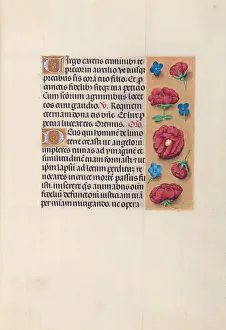 Hours of Queen Isabella the Catholic, Queen of Spain: Fol