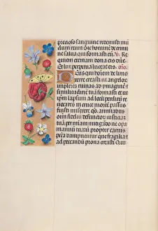 Hours of Queen Isabella the Catholic, Queen of Spain: Fol