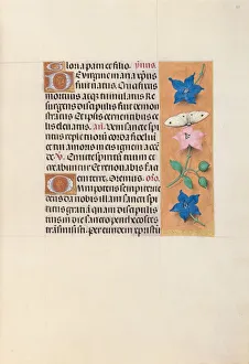 Hours of Queen Isabella the Catholic, Queen of Spain: Fol