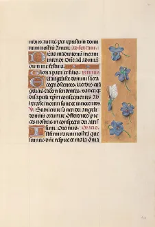 Hours of Queen Isabella the Catholic, Queen of Spain: Fol