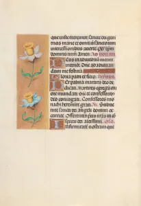 Hours of Queen Isabella the Catholic, Queen of Spain: Fol