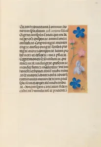 Hours of Queen Isabella the Catholic, Queen of Spain: Fol. 260r, c. 1500. Creator