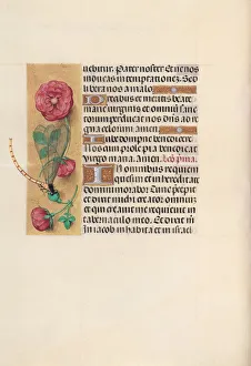 Hours of Queen Isabella the Catholic, Queen of Spain: Fol. 110v, c. 1500. Creator