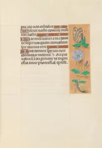 Hours of Queen Isabella the Catholic, Queen of Spain: Fol. 114r, c. 1500. Creator