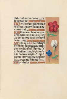 Hours of Queen Isabella the Catholic, Queen of Spain: Fol. 124r, c. 1500. Creator