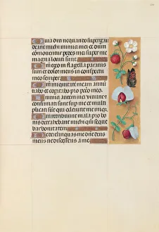 Hours of Queen Isabella the Catholic, Queen of Spain: Fol. 204r, c. 1500. Creator