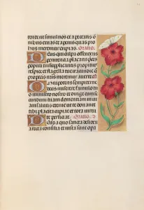 Hours of Queen Isabella the Catholic, Queen of Spain: Fol. 217r, c. 1500. Creator