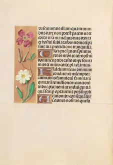 Hours of Queen Isabella the Catholic, Queen of Spain: Fol. 217v, c. 1500. Creator