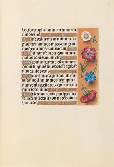 Hours of Queen Isabella the Catholic, Queen of Spain: Fol. 228r, c. 1500. Creator