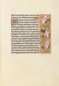 Hours of Queen Isabella the Catholic, Queen of Spain: Fol. 238r, c. 1500. Creator