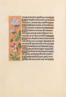 Hours of Queen Isabella the Catholic, Queen of Spain: Fol. 239v, c. 1500. Creator