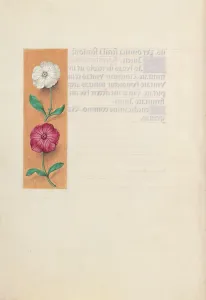 Hours of Queen Isabella the Catholic, Queen of Spain: Fol