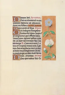 Hours of Queen Isabella the Catholic, Queen of Spain: Fol