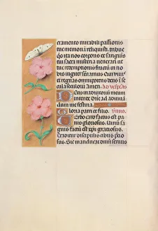 Hours of Queen Isabella the Catholic, Queen of Spain: Fol