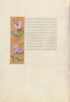 Hours of Queen Isabella the Catholic, Queen of Spain: Fol