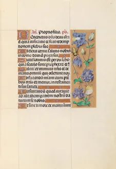 Hours of Queen Isabella the Catholic, Queen of Spain: Fol