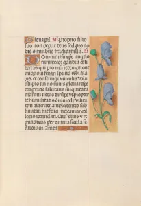 Hours of Queen Isabella the Catholic, Queen of Spain: Fol
