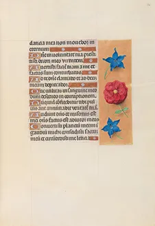 Hours of Queen Isabella the Catholic, Queen of Spain: Fol