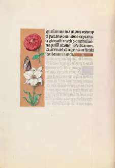 Hours of Queen Isabella the Catholic, Queen of Spain: Fol