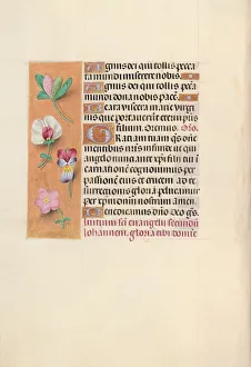 Hours of Queen Isabella the Catholic, Queen of Spain: Fol