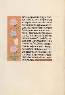 Hours of Queen Isabella the Catholic, Queen of Spain: Fol