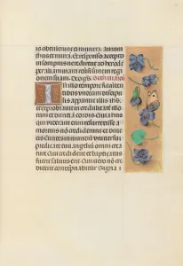 Hours of Queen Isabella the Catholic, Queen of Spain: Fol