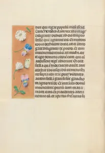 Hours of Queen Isabella the Catholic, Queen of Spain: Fol