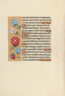 Hours of Queen Isabella the Catholic, Queen of Spain: Fol