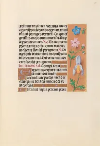 Hours of Queen Isabella the Catholic, Queen of Spain: Fol. 239r, c. 1500. Creator
