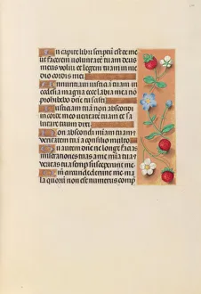Hours of Queen Isabella the Catholic, Queen of Spain: Fol. 240r, c. 1500. Creator