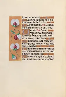 Hours of Queen Isabella the Catholic, Queen of Spain: Fol. 242v, c. 1500. Creator