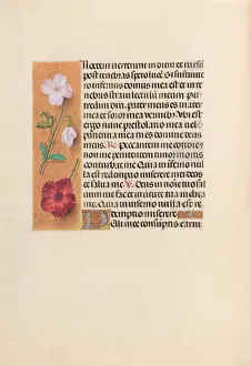 Hours of Queen Isabella the Catholic, Queen of Spain: Fol. 244v, c. 1500. Creator