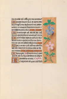 Hours of Queen Isabella the Catholic, Queen of Spain: Fol