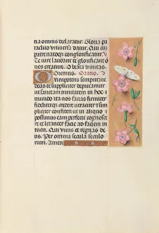 Hours of Queen Isabella the Catholic, Queen of Spain: Fol