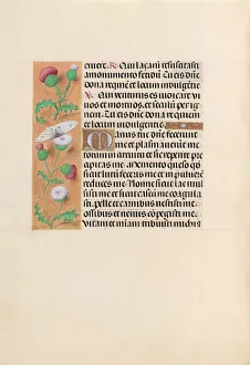 Hours of Queen Isabella the Catholic, Queen of Spain: Fol. 232v, c. 1500. Creator