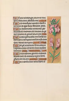 Hours of Queen Isabella the Catholic, Queen of Spain: Fol. 207r, c. 1500. Creator